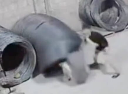 【閲覧注意】こういう工場内の事故が一番怖い…急に解き放たれた鋼鉄のロープが人間を…