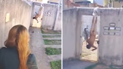 【衝撃映像】元カノの家に強盗に入ろうとした男、世界一恥ずかしい姿で逮捕されるｗｗｗ