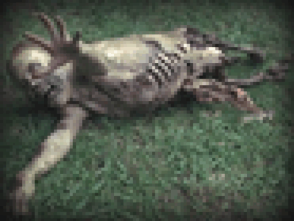 【閲覧注意】戦場の兵士、急に体を真っ二つに切断され焦りまくる・・・（動画あり）