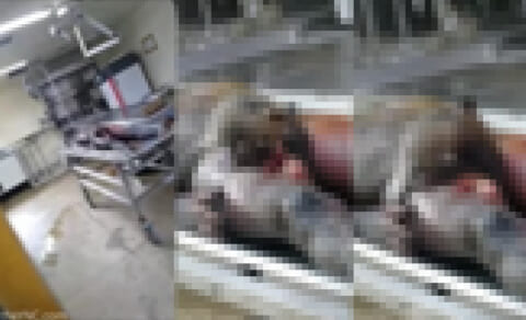 【閲覧注意】検死官「人の死体から音がするから行ってみたら…ヤバい事になってた…」（動画あり）