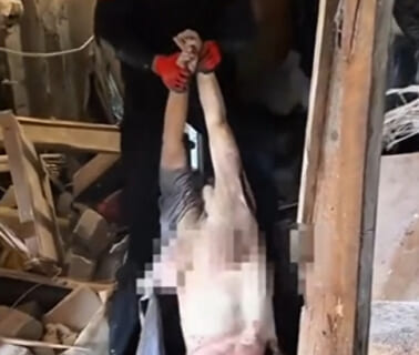 【閲覧注意】自宅でロシア軍にめちゃくちゃにヤられたウクライナ人女性（全裸）の動画、これが戦争の現実か…