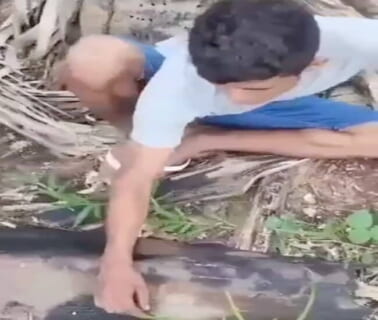 【閲覧注意】”本物” に捕まったヤンキー高校生、一生オ○ニーできない体にされる（動画あり）