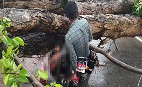 【閲覧注意】2人乗りライダー、相方が膝の上で ”爆発” して絶叫・・・（動画あり）