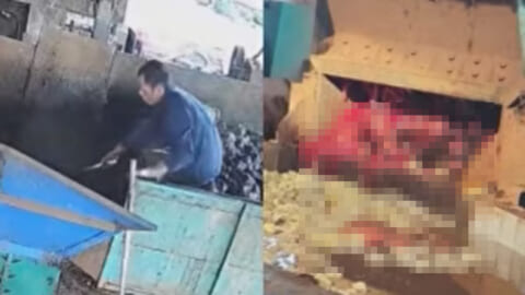 【閲覧注意】工場作業員、史上最悪レベルに恐ろしい死に方する監視カメラ映像が話題に