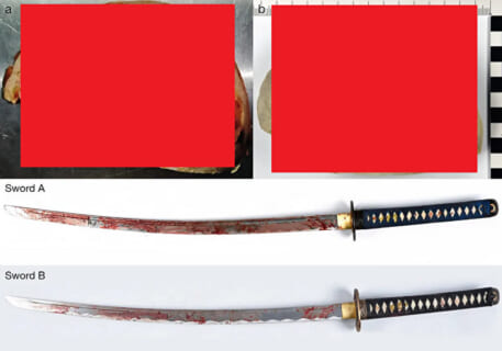 【閲覧注意】ドイツで「日本刀」で切り殺された人間の画像、日本刀のヤバさを世界中に知らしめる…