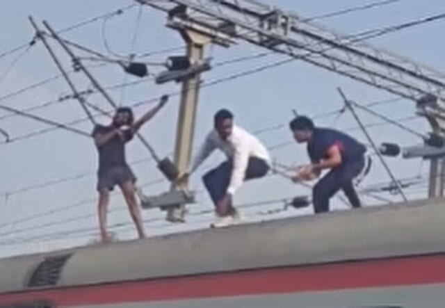 ダーウィン賞