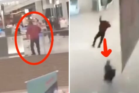 【閲覧注意】中国で激写された飛び降り自殺がヤバすぎ…地上にいた女性を道連れに…
