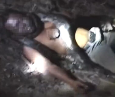 【閲覧注意】世界最大のヘビは、人間をこんな簡単に殺してしまうらしい…（動画あり）