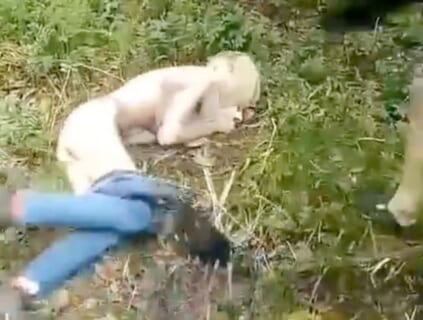 【動画】ギャングに捕まったロシアのJKがヤられたこと、一部ネット民の性癖にぶっ刺さってしまう