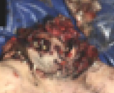 【超！閲覧注意】手榴弾を口の中に入れたアホの末路・・・（画像あり）
