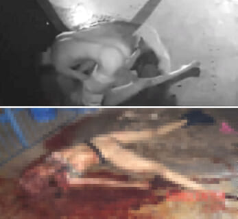 【閲覧注意】殺人鬼「殺した女を捨て…いや、最後に1回レ●プしとくか！」← こいつの動画ヤバすぎだろ…