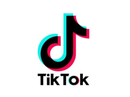 【閲覧注意】TikTokで100万回再生された18禁動画「10代をヤってみた」