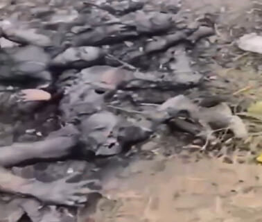 【閲覧注意】戦場で仲間の大量の死体を発見したロシア兵士 ⇒ 動画の最後、彼は死と同時にその理由を知る…