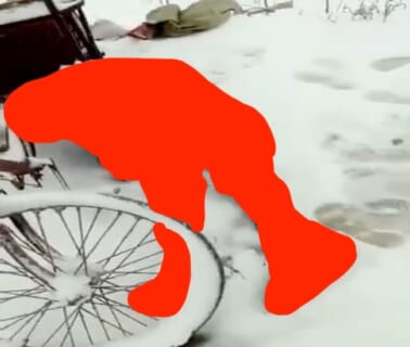 【閲覧注意】これガチ…？中国の異常気象が異次元すぎて人が死ぬレベルなんだが…（動画あり）