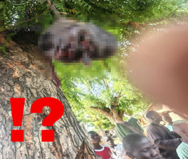 【超！閲覧注意】アフリカの「山賊」VS「特殊部隊」の殺し合い、トンデモナイ光景を生んでしまう（画像あり）
