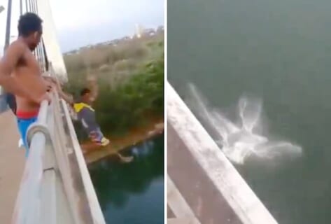 【閲覧注意】陽キャが橋から川へジャンプして大盛り上がりｗ ⇒ そのまま沈んで溺死…（動画あり）