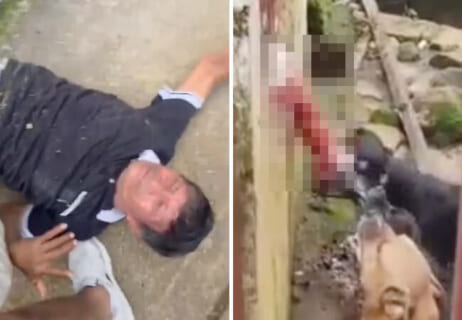 【閲覧注意】泥棒さん、庭で飼われてた ”最強生物” に五体不満足にされ咽び泣く…（動画あり）
