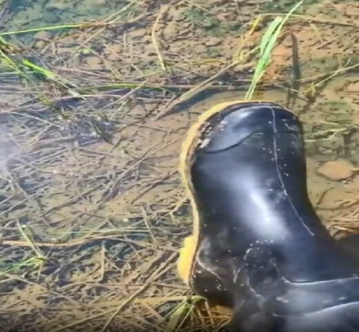 【閲覧注意】中国の「入ったら死ぬ沼（一見何もない）」、ガチで怖すぎる（動画あり）