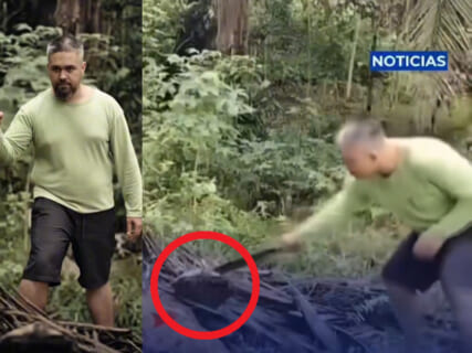 【衝撃映像】サバイバル系YouTuber、毒蛇に噛まれ死亡する瞬間の動画が公開される…怖すぎだろ…