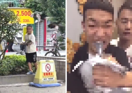 【閲覧注意】墨田区の公園で鳩を捕まえる外国人DQN…鳩を生きたまま食べる外国人DQN…ヤバすぎだろ…