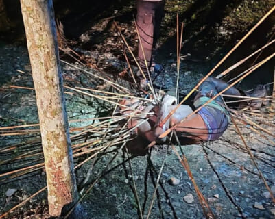 【閲覧注意】部族に捕まった人間の殺され方、ギャングや麻薬カルテルの10倍恐ろしいと話題に