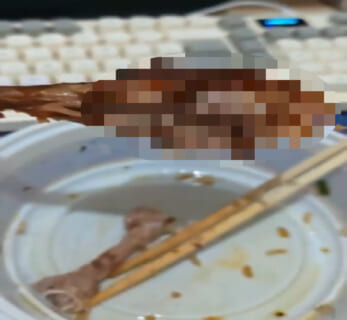 【閲覧注意】このお店のデリバリーだけは止めとけ！肉を噛んだ瞬間 中が動いたので、見たら…（衝撃動画）