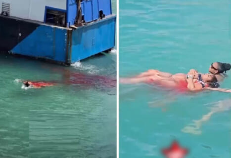 【閲覧注意】女さん2人、海水浴中に「サメよりも恐ろしいアレ」に全身をズタズタにされ死亡…（動画あり）