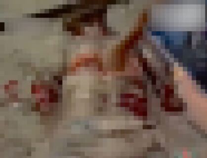 【超！閲覧注意】世界最悪の死に方、コレで確定してしまう（動画あり）