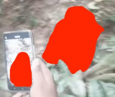 【閲覧注意】ジャングル奥地で見つかった ”虎に食われた人間” の姿、ガチで怖すぎ（動画あり）