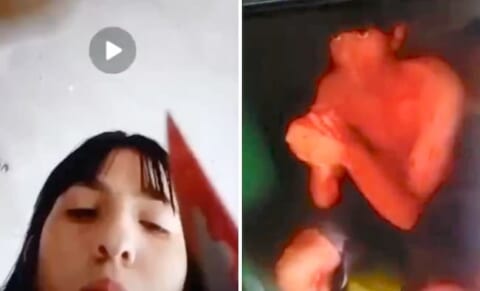 【閲覧注意】10代少女「今から私をレ●プした奴を殺します」⇒ 伝説級の復讐動画
