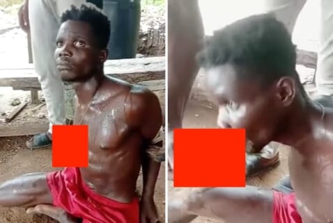 【閲覧注意】ギャング「人肉完食しないと殺す」⇒ この拷問は鬼畜すぎる…（動画あり）