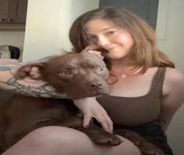 【閲覧注意】ピットブル愛好家の女さん、とんでもない顔面に成り果ててしまう…（画像あり）