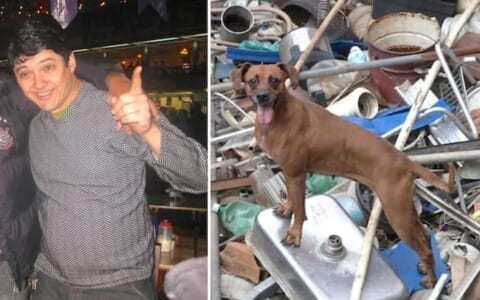 【閲覧注意】野犬6匹 VS 成人男性、コッチの圧勝だった・・・・・（画像あり）
