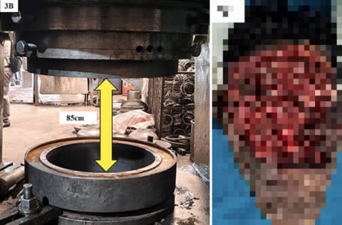 【閲覧注意】工場作業員「自殺しよ…プレス機械使うか！」⇒ こうなる（衝撃画像）