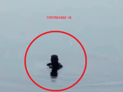 【閲覧注意】ワニがうようよいるから絶対に入るな！ ⇒「死の川」に入った結果・・・（動画あり）