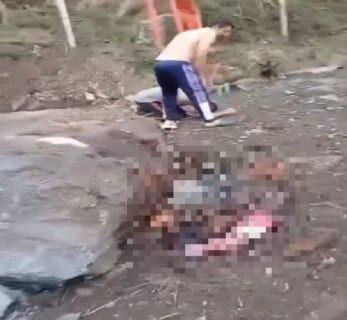【閲覧注意】山で10トンの岩が降ってきてペチャンコにされた女さんの動画、ヤバすぎる