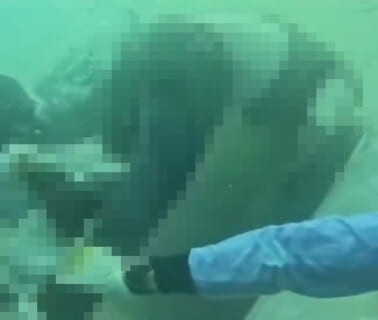 【閲覧注意】64人死亡の沈没船の中から人間がどんどん出てくる地獄の調査映像がコチラ