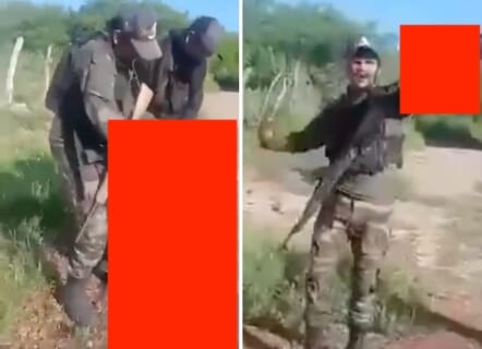 【閲覧注意】コレを笑いながらできる奴、もう人間じゃないだろ・・・（動画あり）