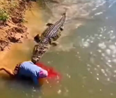 【閲覧注意】タンザニアでワニとタイマン張った人間の画像、ヤバすぎて震えた…（画像あり）