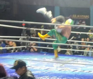 【衝撃映像】プロレスラー、75歳のレフェリーをリングに叩きつけ死亡させてしまう。ヤバすぎだろ…