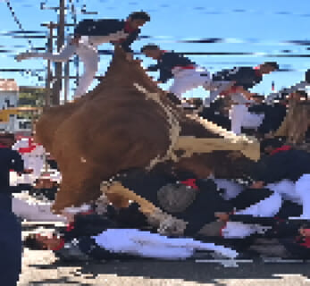 【閲覧注意】岸和田のだんじり祭で1人が死亡した時の映像、ヤバすぎる