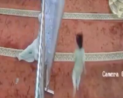 【閲覧注意】3歳の男の子が女子小学生2人に頭を潰されるまでの一部始終、ヤバすぎ（動画あり）
