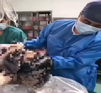 【閲覧注意】臓器提供に「○」をした人間、とんでもない動画を晒されてしまう（動画あり）