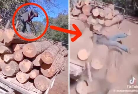 【恐怖映像】丸太が山積みのトラック、固定ワイヤーを切ったドカタの死に方がヤバすぎ…