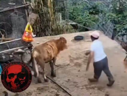 【衝撃映像】中国の障害者男性、牛にレ●プされ殺されてしまう・・・ヤバすぎ・・・