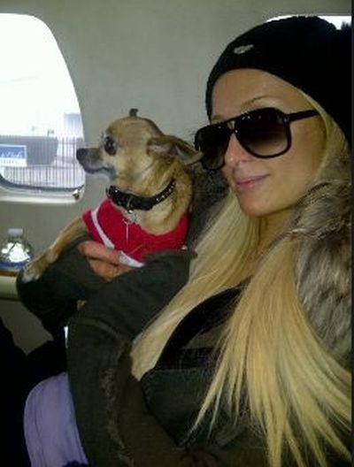 parishilton_38