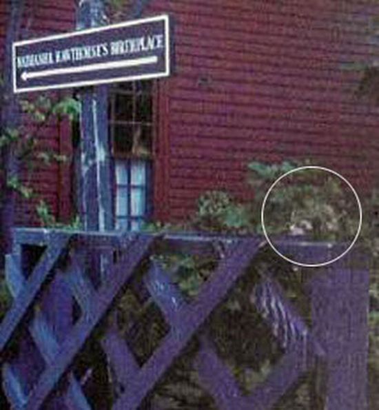 best_ghost_pictures_12