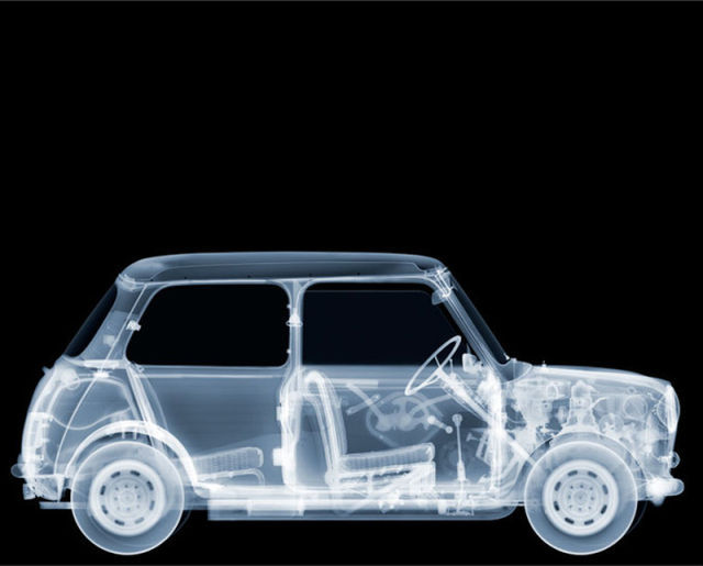 amazing_xray_artwork_640_27