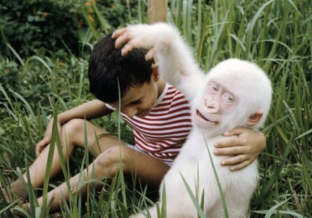 great_pictures_of_albino_animals_640_01