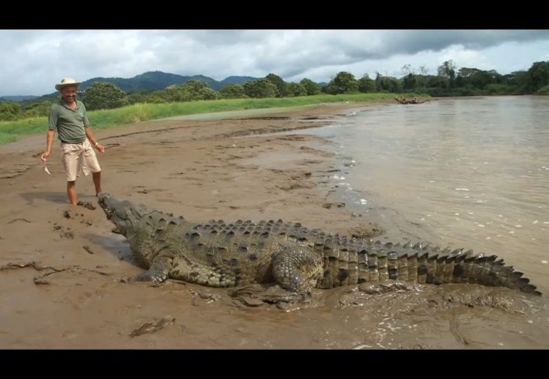 tR8XRNqqN2ZZvI_1353812073